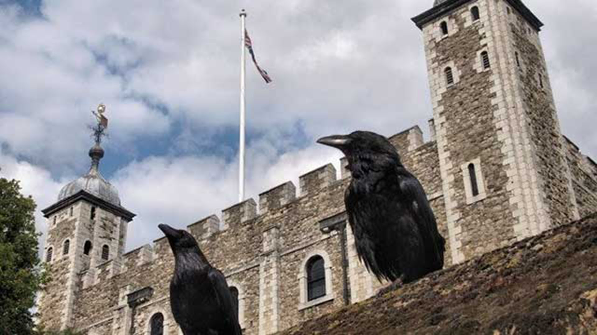 The ravens are the unique guardians