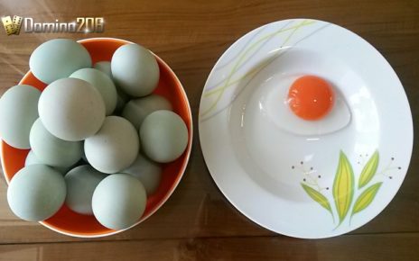 Beragam Manfaat Kuning Telur Bebek bagi Tubuh