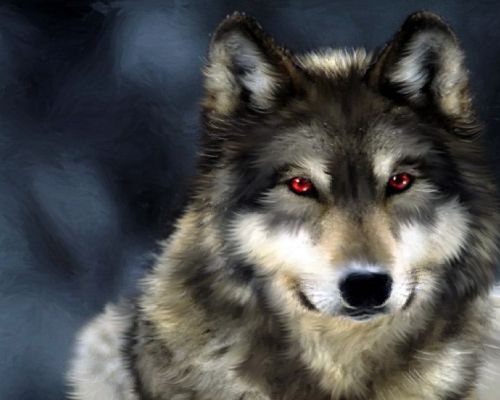 5 Pemahaman Salah tentang Serigala yang Wajib Kamu Tahu