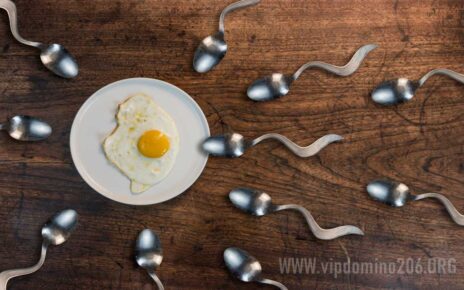 Jenis Makanan untuk Meningkatkan Kualitas Sperma