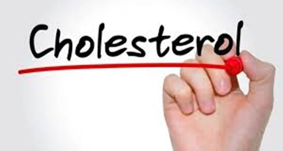 8 Penyebab Kolesterol Tinggi yang Harus Diwaspadai